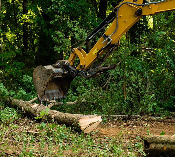 land clearing chattanooga