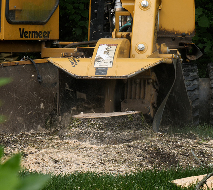 stump grinding chattanooga