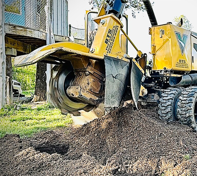 stump grinding Cleveland tn