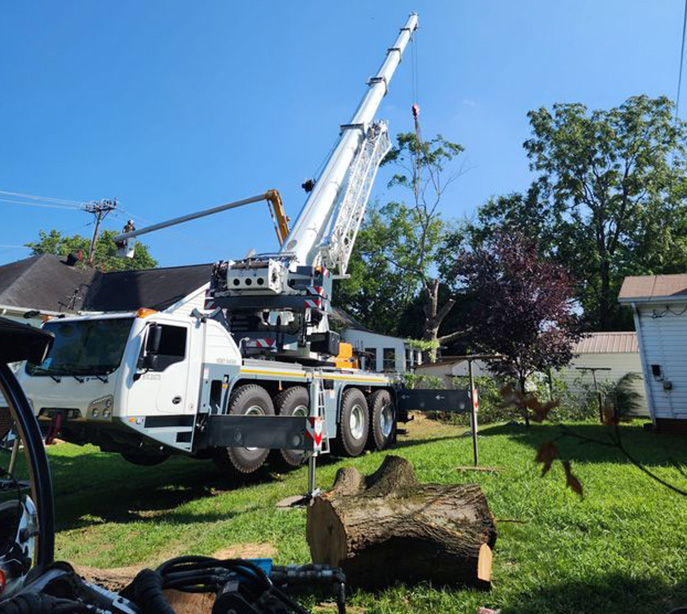 tree removal Chattanooga